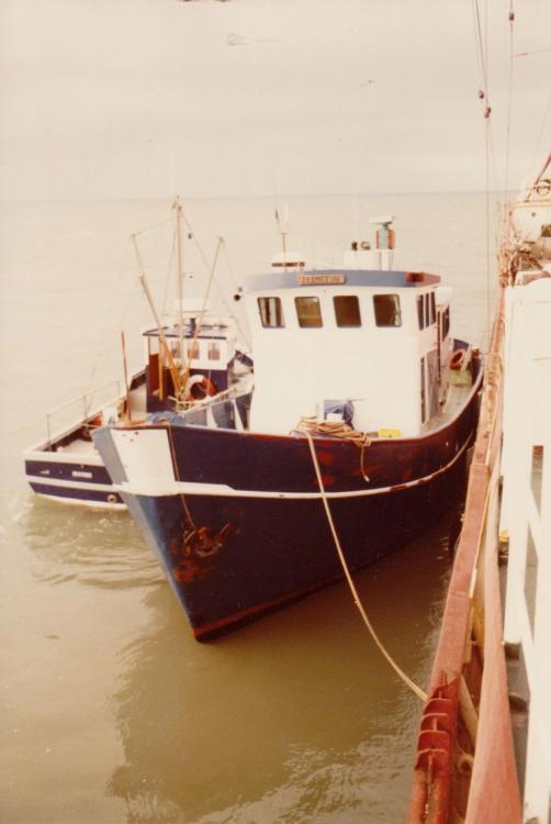 Zeemeeuw 1984.jpg