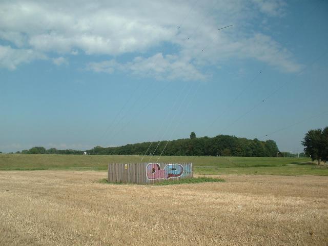 AM828- 048.jpg