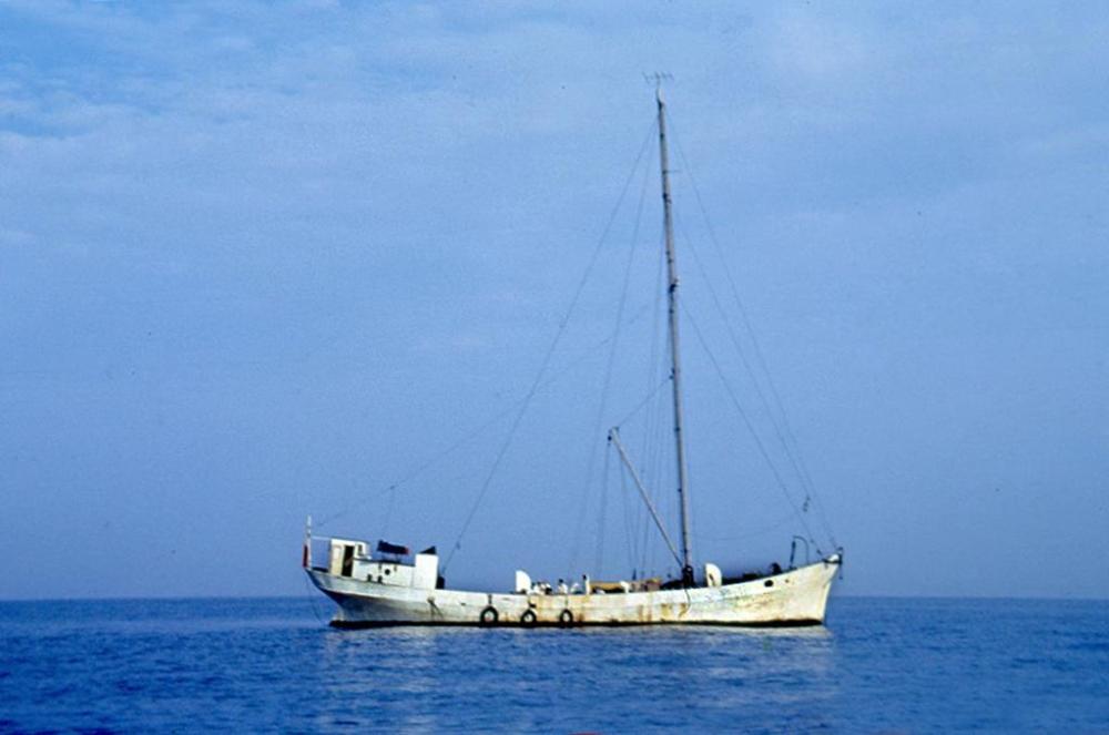 Cheeta 1 1958.jpg